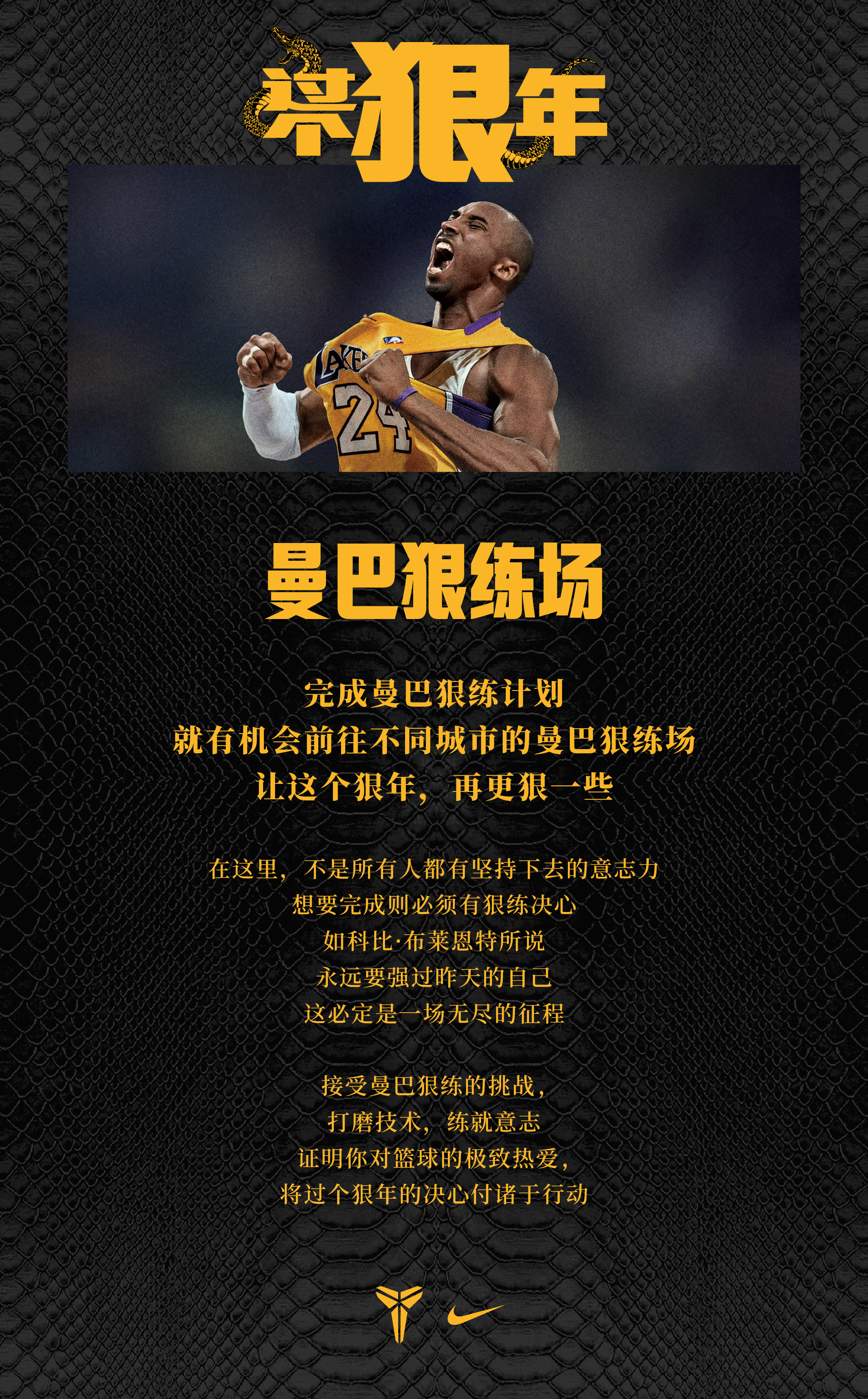 曼巴2.jpg